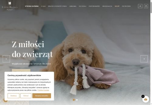 Little Heroes Karolina Rybicka-Nyga